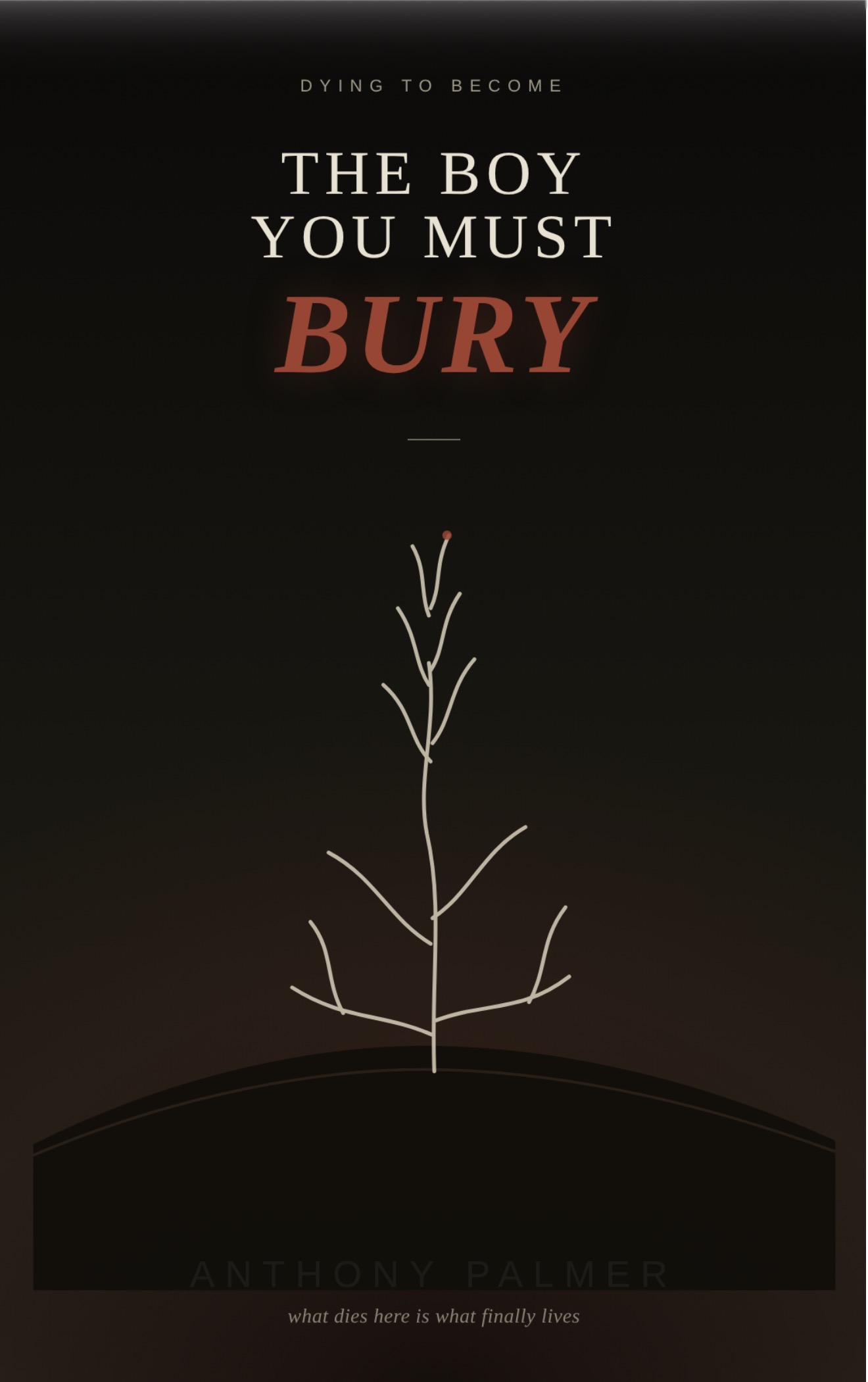 The Boy You Must Bury - book cover